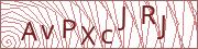 verify-code