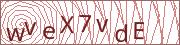 verify-code