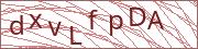 verify-code