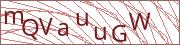 verify-code