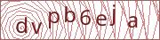 verify-code