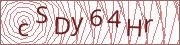 verify-code